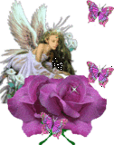 angeloconrosapiccolo